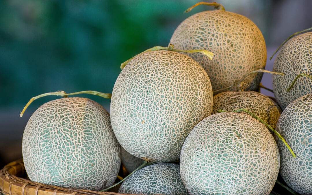 Eagle Produce Cantaloupe Lawsuit