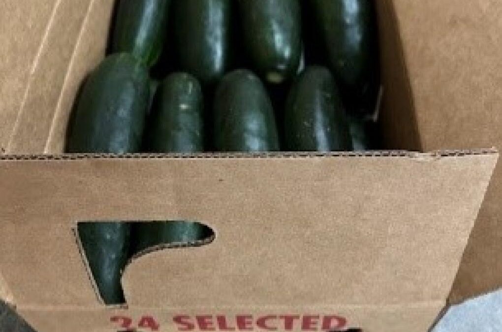 Cucumber Salmonella Lawsuit Filed Against Publix