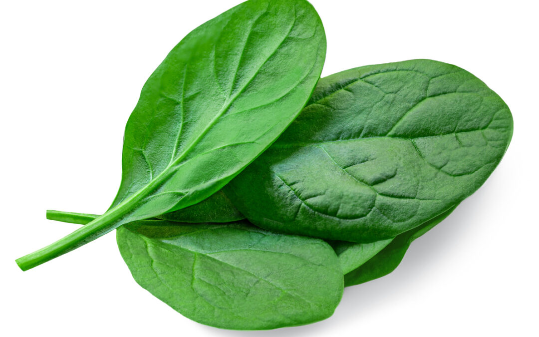 Solata Foods Recalls 40 Types of Fresh Spinach for Listeria Risk